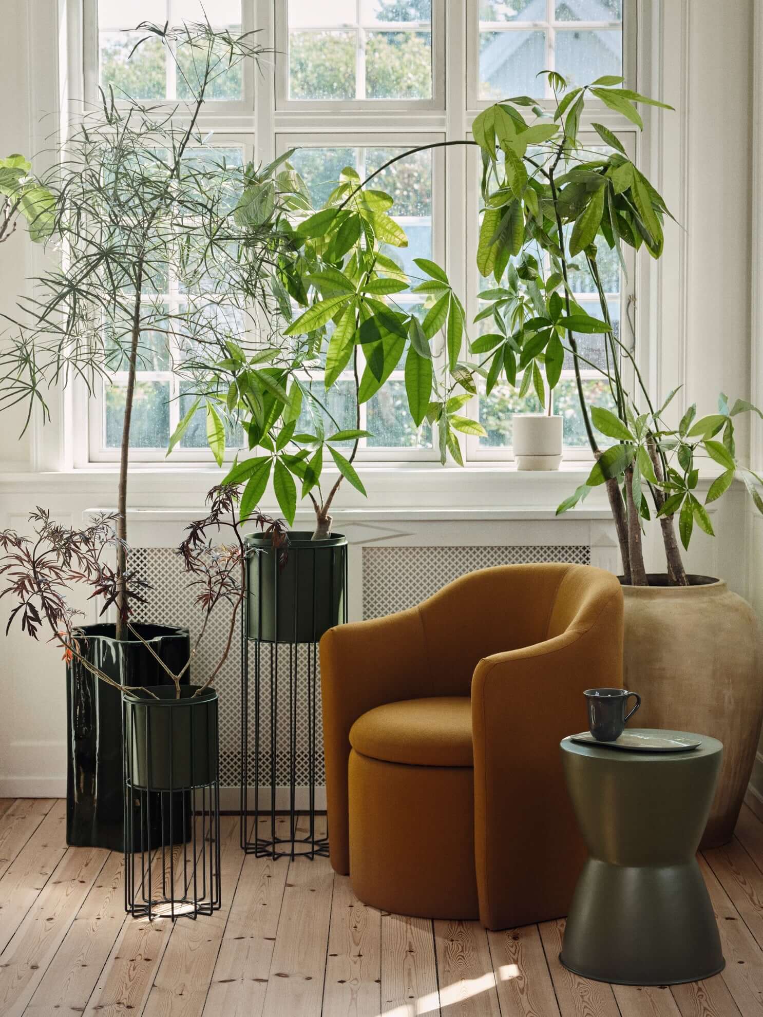 Pond Armchair in Ocher among indoor plants, exemplifying luxury and modern furniture design for high-end home decor.