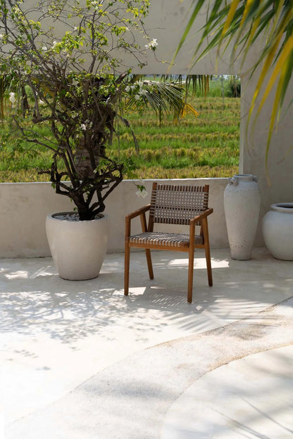 The Trikeri Dining Chair image 2