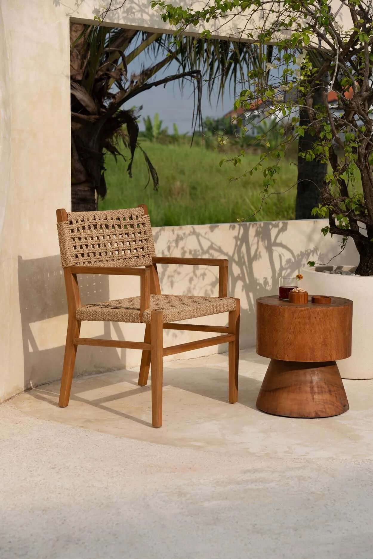 The Othonoi Dining Chair image 2