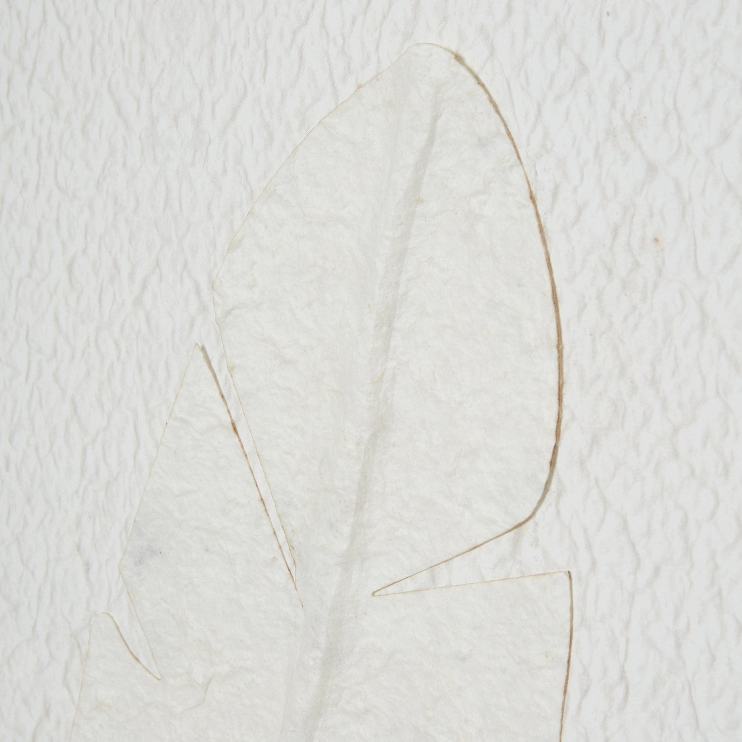 Large Quill White Feather Art in Beaded Frame – Luxury and Designer Furniture, Premium Home Decor, Modern and Curated Collection