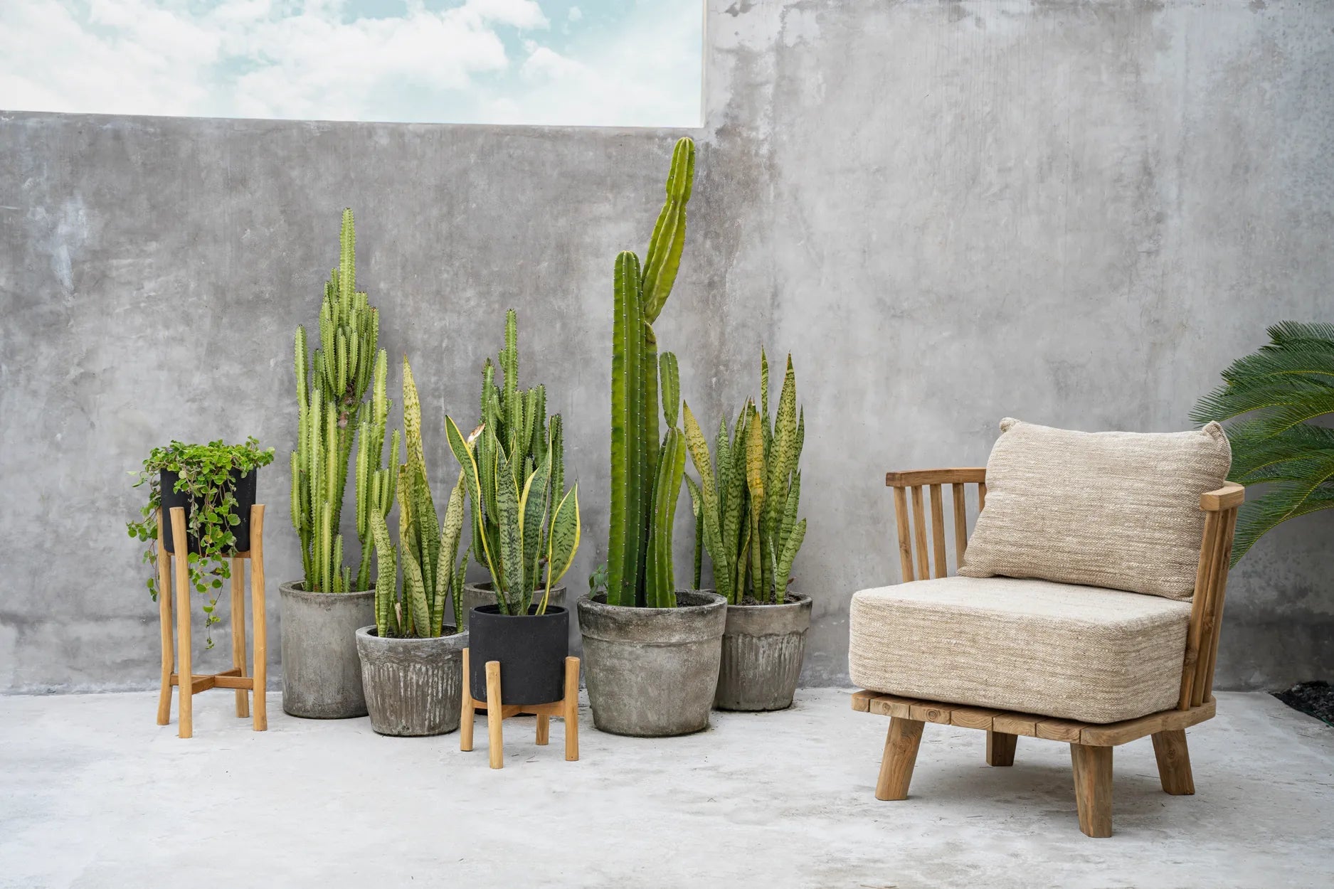 The Malawi One Seater - Natural Beige image 4